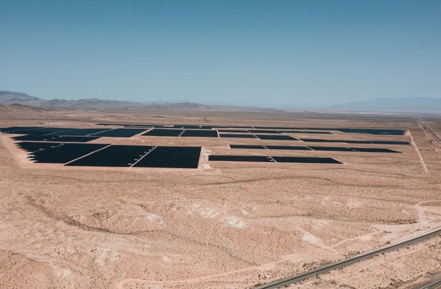 digital solution for expansion