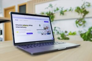 online modeling for success